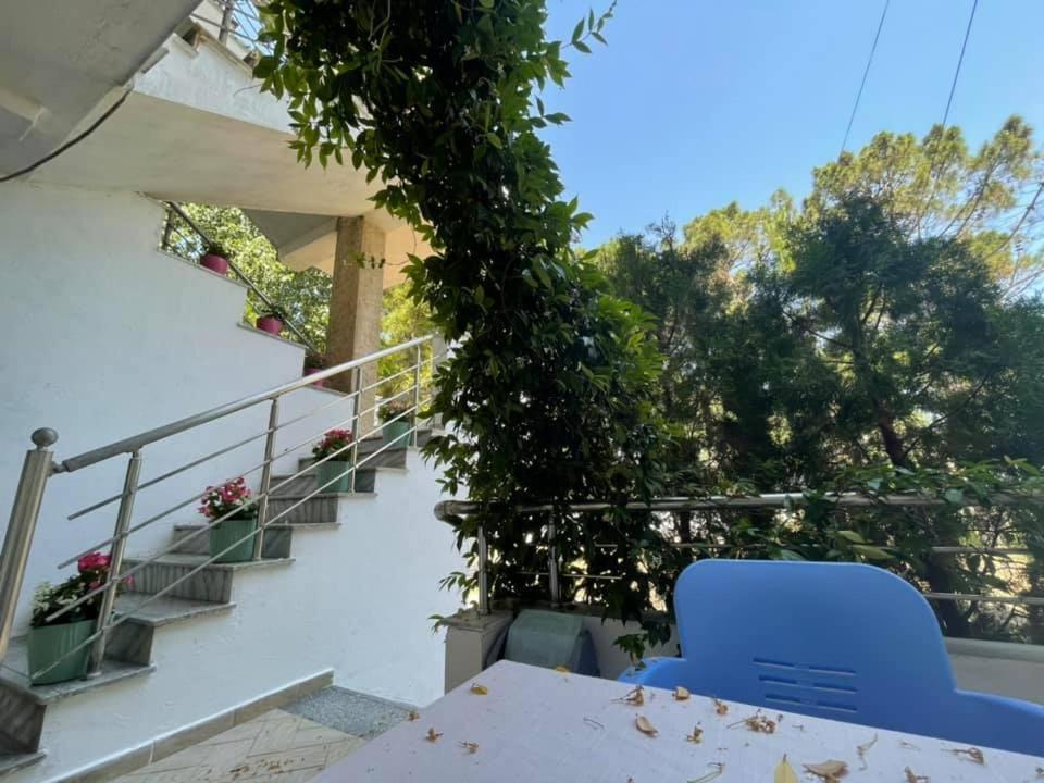 Aparthotel Vila Tufi Velipojë Buitenkant foto
